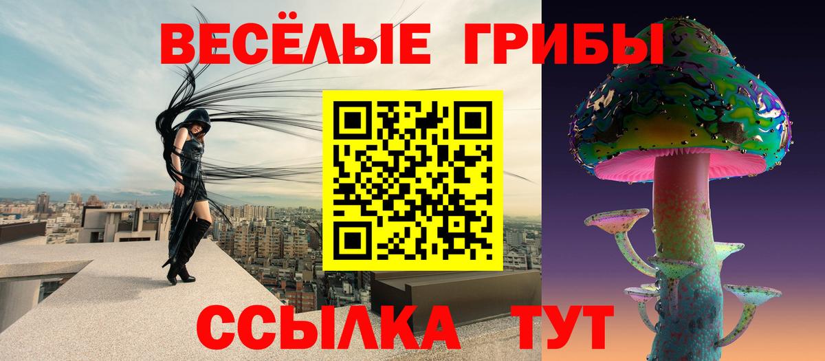 Псилоцибиновые грибы GOLDEN TEACHER  Вход с VPN  Биробиджан 